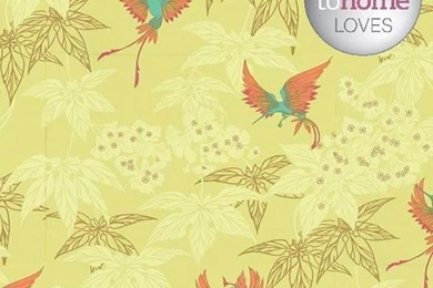 Hummingbird Wallpapers From Wallpapers Direct