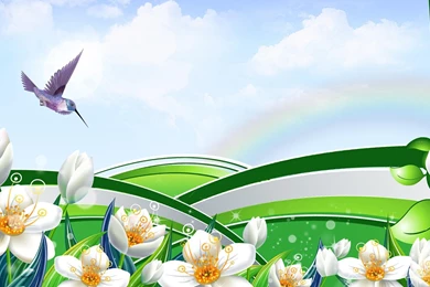 Hummingbird Wallpapers >> Backgrounds With Quality HD