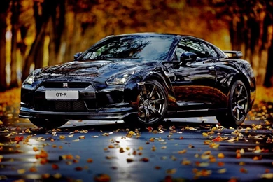 Nissan Skyline GTR Autumn HD Desktop Wallpapers : Widescreen : High ...