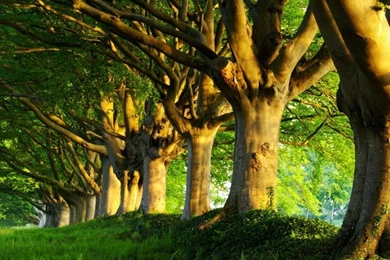 Summertime Desktop Backgrounds: Autumn By Free Download Best HD ...