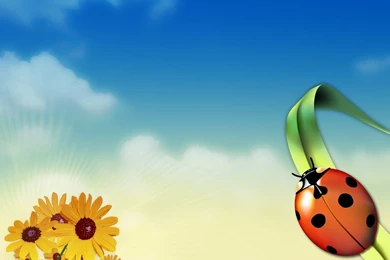 Top Summertime Wallpaper Images For Pinterest