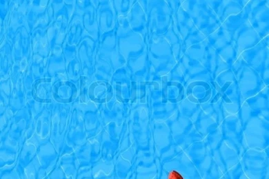 Water Backgrounds With Red Starfish Conceptual Image Of Vacation ...