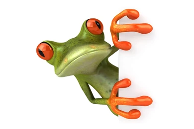 Beautiful Frog Photo Gallery.   BestePics