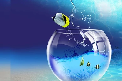 Awesome Best Wallpaper, Size: 1920x1080