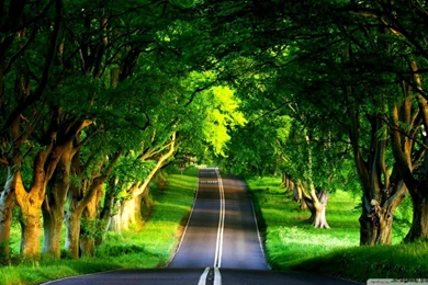 Wallpapers Hd Cool Nature