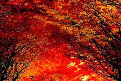 BEST WALLPAPERS FOR IPHONE 5S HD QPO007