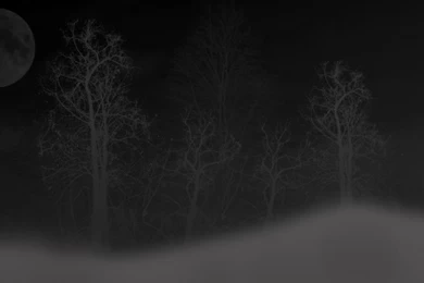 Best Wallpapers Websites