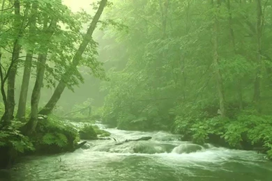 Relaxing Backgrounds Music Instrumental "Poetry Of Water" And ...