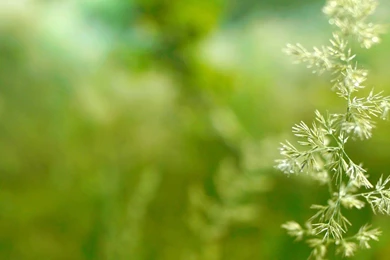 Instrumental Backgrounds Music   Relaxdaily B Sides N°2   For ...