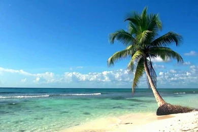 Relaxing Full HD Film Ocean Live Wallpapers Dreamscene   YouTube