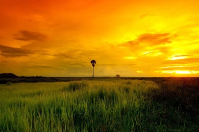 Landscape hd wallpapers.jpg