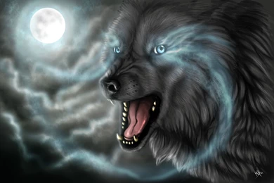 3113) Dark Wolf HD Images Wallpapers   WalOps.com