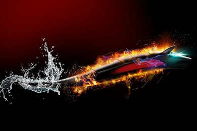 Download Wallpapers 2560x1440 Dragon, Dark, Wolf, Bitdefender ...