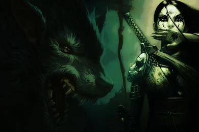 Wallpaper: HD Wolf Wallpapers