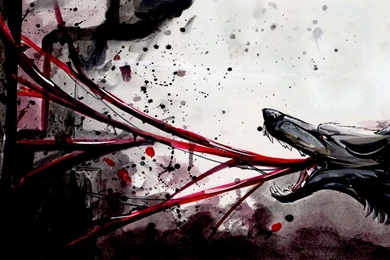 Dark Wolf : Wallpapers