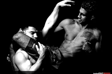 Top Mma Fight Wallpaper Images For Pinterest