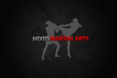 Gallery For Mixed Martial Arts Backgrounds