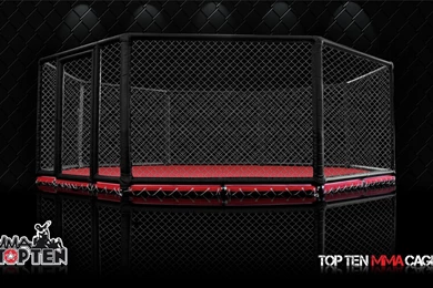 Top Ufc Cage Images For Pinterest