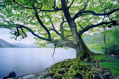 HD Best Nature Wallpapers