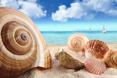 Best Nature Wallpapers Sea View Photos Of Best Nature Wallpapers ...