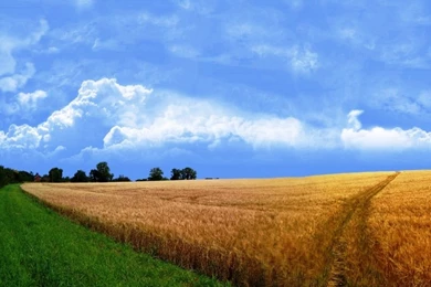 The Best Nature Wallpapers Photos Of The Best HD Nature Wallpapers ...