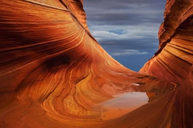 New Year Wallpapers Nature