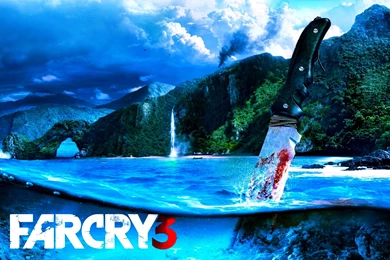 90 Far Cry 3 HD Wallpapers