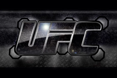 17 Ultimate Fighting Championship HD Wallpapers