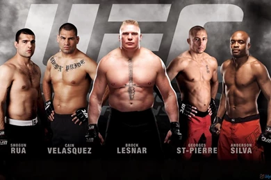 UFC HD Wallpapers Pics And Photos HD Wallpapers Blog