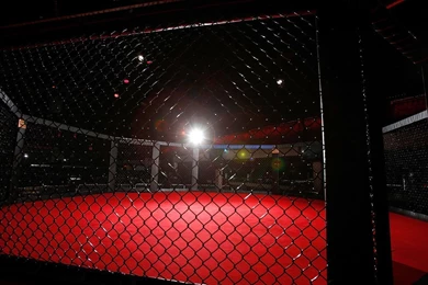 Top Ufc Cage Wallpaper Images For Pinterest