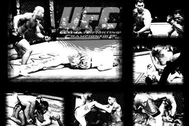 Top Mma Wallpapers Desktop Images For Pinterest