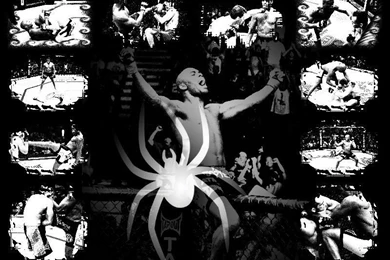 Top Ufc Cage Wallpaper Images For Pinterest