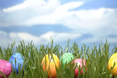 15 Happy Easter 2015 Wallpapers For Desktop   Educational ...