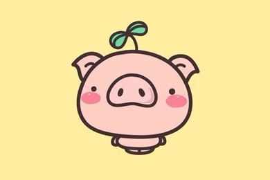 Cute Pig