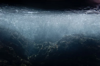 Underwater Shot Wallpapers