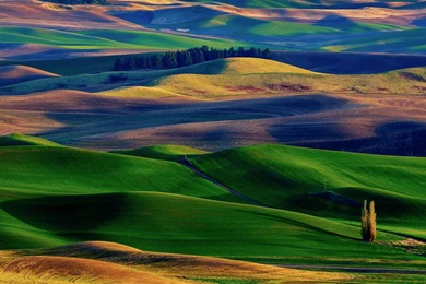 Top Hd Colorful Nature Images For Pinterest