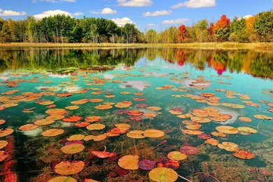 Beautiful Nature Wallpapers Desktop