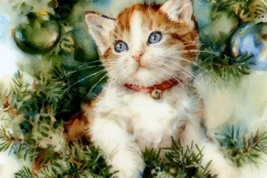 Christmas Cat 01 Wallpapers