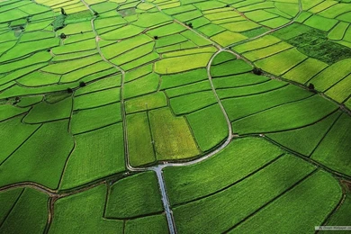 Free Wallpapers   Free Nature Wallpapers   Mac OS X Mountain Lion ...