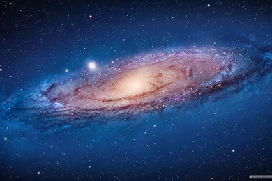 Free Wallpapers   Free Nature Wallpapers   Mac OS X The Lion Apple ...