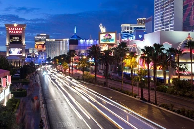 1024x768 Crazy Vegas City Desktop PC And Mac Wallpapers