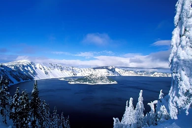 Winter Snow Landscape Wallpapers   1852830