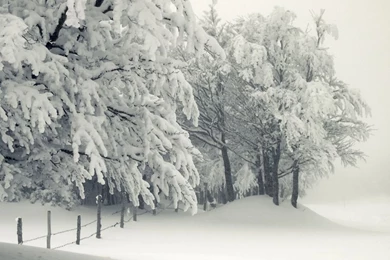 Snowy Landscape HD Desktop Wallpapers : High Definition ...