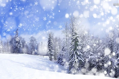Winter Landscape Wallpapers