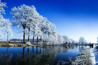 Winter Snow Wallpapers