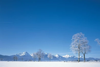 Snow Landscape Wallpapers 2015   Grasscloth Wallpapers
