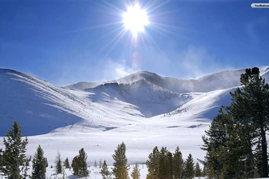 Top Landscape Winter Http Images For Pinterest