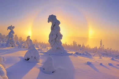 Nature Sunlight Snow Landscapes Wallpapers