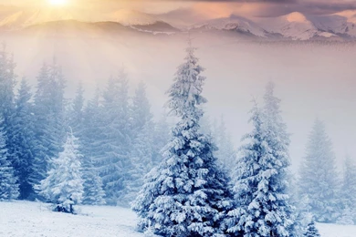 Snow Landscapes Wallpapers