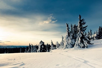 1280x800 Nice Snow Landscape Desktop PC And Mac Wallpapers